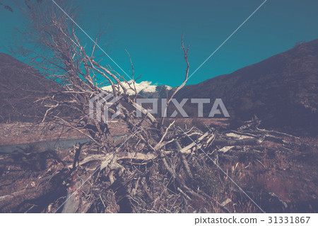 River Cauquenes and Tronador volcano 31331867