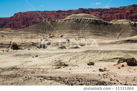 Mountainous landscape in Ischigualasto Provincial Park 31331869