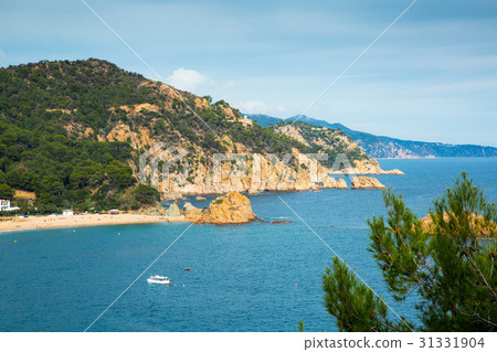 Costa Brava coastline Costa Brava coastline 31331904