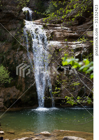 Pure mountain creek with green water 31332423