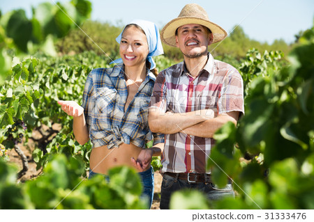 man and woman gardeners in grapes tree yard . man and woman gardeners in grapes tree yard . 31333476