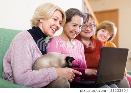 Female pensioners with laptop indoor 31333804