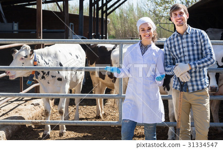 veterinarian standing with farmer 31334547