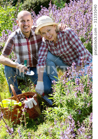 Couple looking after flowers in the garden 31335040
