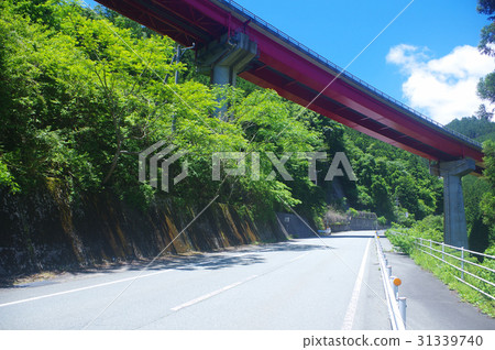 初夏的高見通 31339740