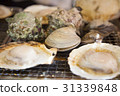 海灘喙 31339848