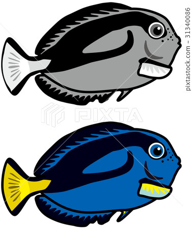 Tropical fish Nanyouhagi color & monochrome 31340086