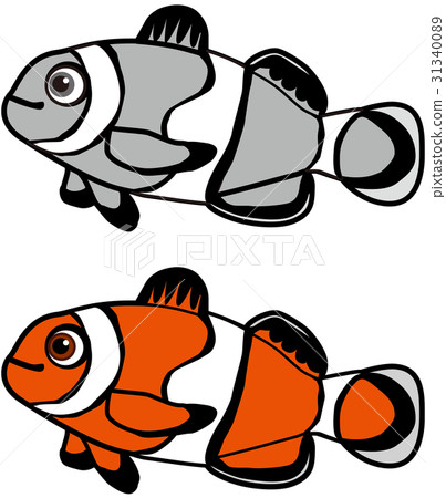 熱帶魚小丑銀蓮花屬2顏色＆單色 31340089