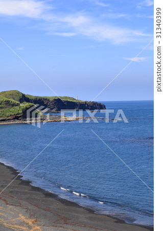 Coastal portrait of Miyakejima 31340399