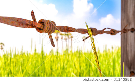 Old and rusty barbed wire 3D render. Old and rusty barbed wire 3D render. 31340898