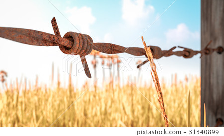 Old and rusty barbed wire 3D render Old and rusty barbed wire 3D render 31340899