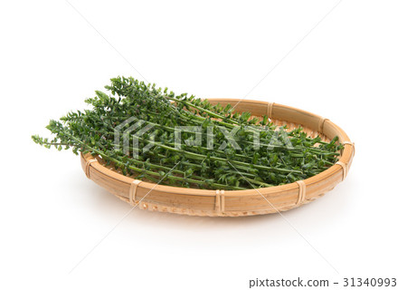 新鮮的海膽 31340993