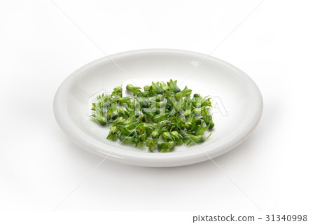 Fresh sea urchin 31340998