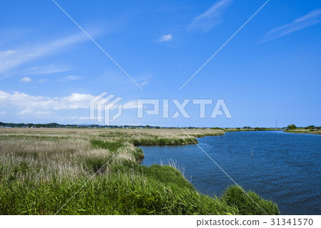 Marshland and nature of Hakusuma Marshland and nature of Hakusuma 31341570