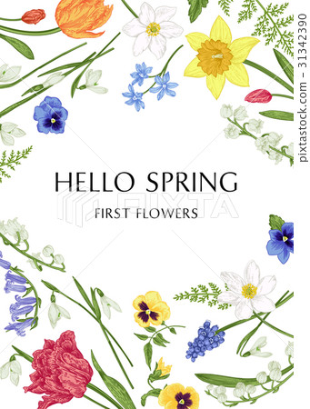 Botanical card with spring flowers. Botanical card with spring flowers. 31342390