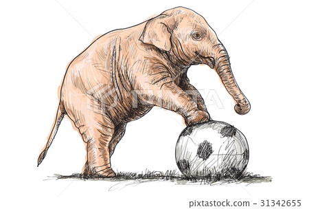 elephant playing football 31342655