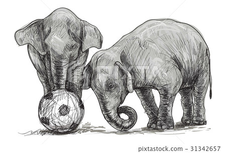elephant playing football 31342657