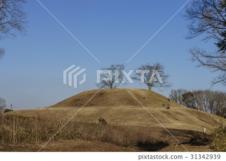 Iwakaya Kofun的風景在冬天 31342939