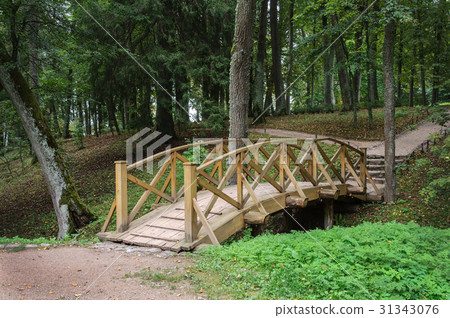 Decorative wooden bridge in old park 31343076