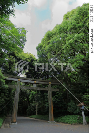 Meiji Shrine's torii torii photo Meiji Shrine's torii torii photo 31343082