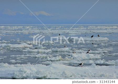 Drift ice and after the country Drift ice and after the country 31343144
