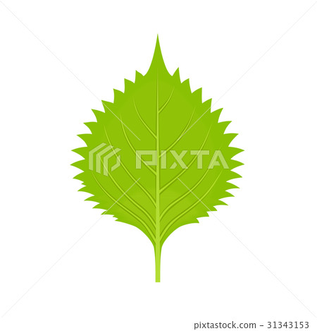 Aoshima (large leaf) 1 sheet 31343153