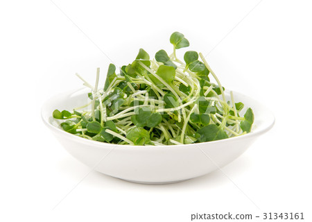 Caution: Daikon radish Caution: Daikon radish 31343161