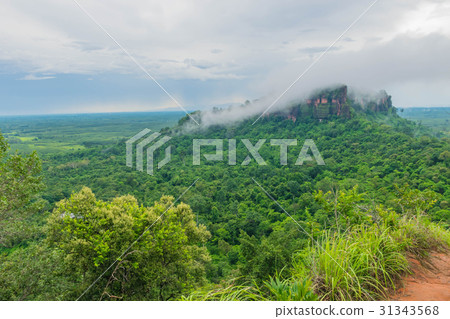 The soft focus of green forest,foggy forest hills The soft focus of green forest,foggy forest hills 31343568