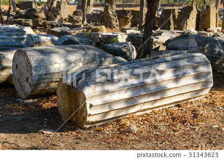 Columns in ancient city Troy. Turkey Columns in ancient city Troy. Turkey 31343623