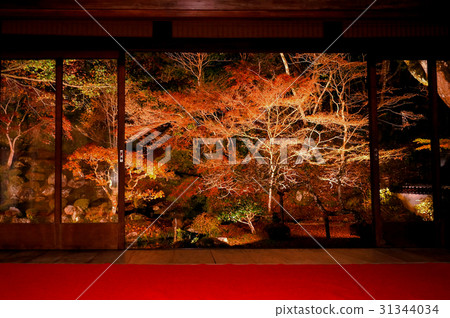 福岡在九州福岡秋天的葉子在天堂魚天堂的視圖 31344034