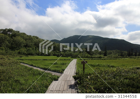 北海道木路分道 31344558