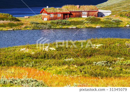 Norway landscapes 31345079