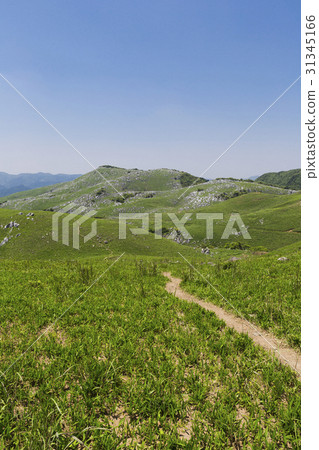 Hiraodai Hiraodai 31345166