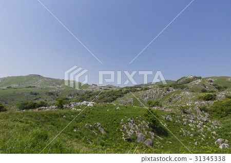 Hiraodai Hiraodai 31345338