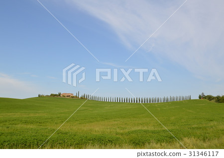 View of Tuscany View of Tuscany 31346117