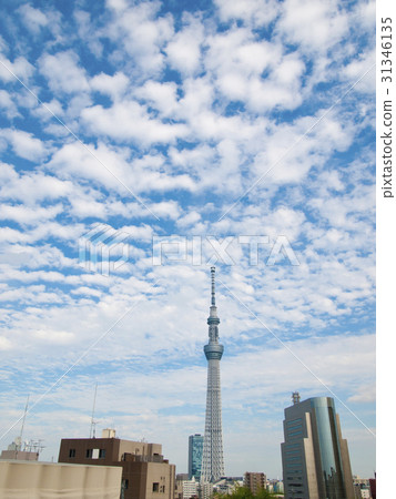 Sky tree Sky tree 31346135