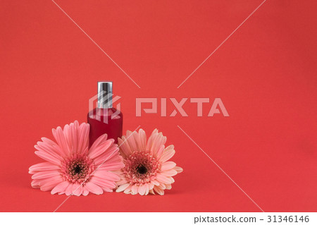 Two pink Gebera flower and red perfume bottle Two pink Gebera flower and red perfume bottle 31346146