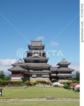 松本城堡垂直發光在藍天和庭院裡 31346356