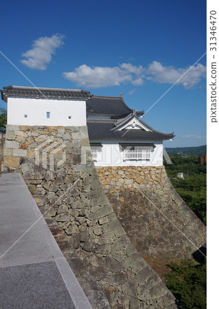"Okayama prefecture cherry blossom viewing site" Tsuruyama park (Tsuyama castle toe) ": Bikanaru 31346470