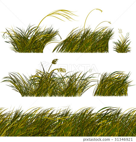 Green Steppe Grass Borders Set 31346921