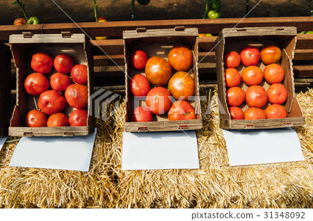 Tasty tomatoes in cardboard boxes on market, Tasty tomatoes in cardboard boxes on market, 31348092
