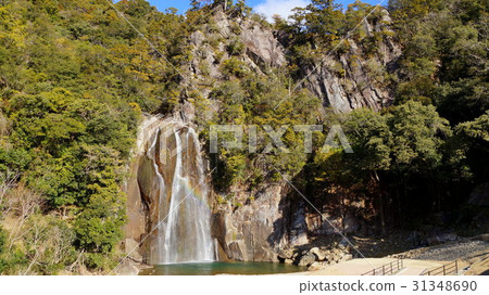 Snowfall Falls Snowfall Falls 31348690