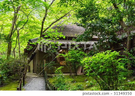 Kyoto Sagano Ginoji 31349350