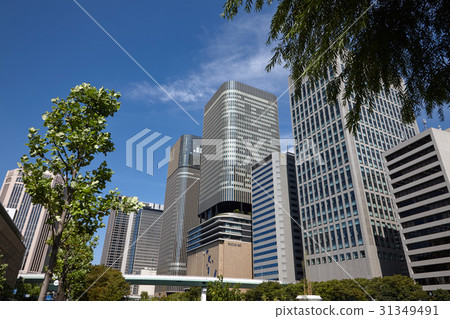 肥後橋的高層建築 肥後橋的高層建築 31349491