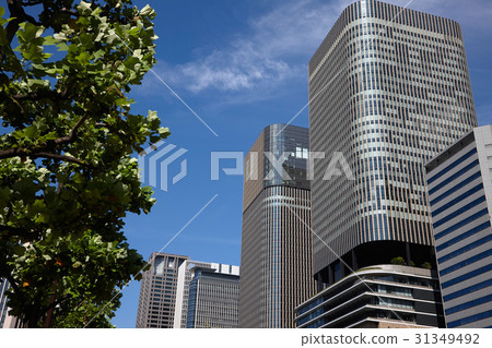 肥後橋的高層建築 31349492