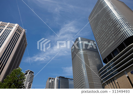 肥後橋的高層建築 31349493