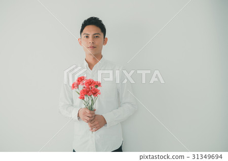 carnation, carnations, mothers day 31349694