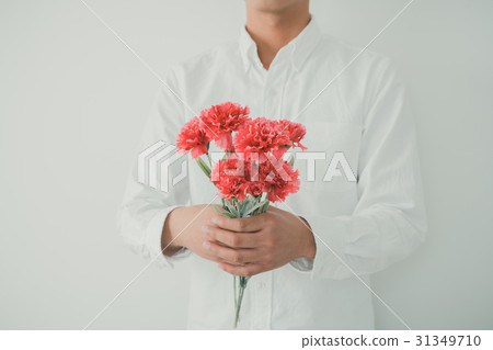 carnation, carnations, gents 31349710