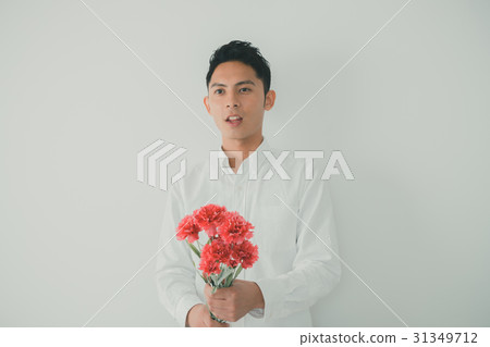 carnation, carnations, mothers day 31349712