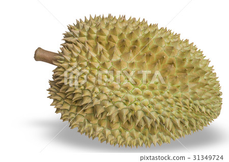 durian mon thong is king of fruits durian on white 31349724